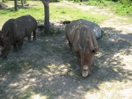 Один день на острове Бали