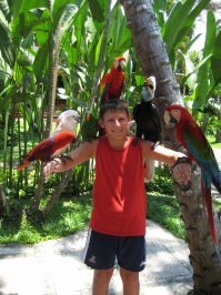 Один день на острове Бали