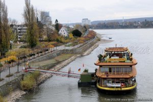 У нас пару лет назад в Бонне Рейн разлился. Было одновременно страшное и завораживающее зрелище.
