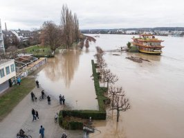 У нас пару лет назад в Бонне Рейн разлился. Было одновременно страшное и завораживающее зрелище.
