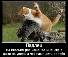 Картинки с надписями