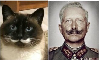 данунах, "усами" больше на Вильгельма похож.