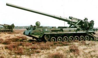 Тюльпаны или Пионы?