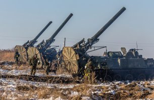 Тюльпаны или Пионы?