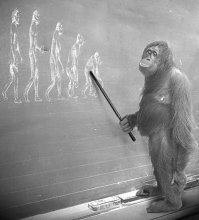 Картинки с надписями для настроения