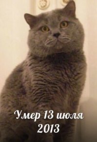 А это Ричард, наш кот...
Тоже ушел  в мир иной и тоже на моих руках...