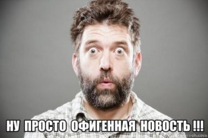 Ученые выяснили, с какой скоростью личинки мухи могут осилить 16-дюймовую пиццу