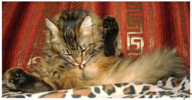 Сложная головоломка, способная проверить на прочность нервную систему