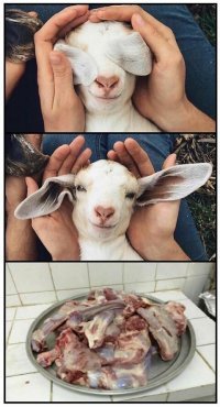 Шикарно про зоошизу