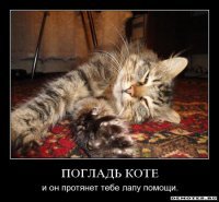 Прикольные и смешные картинки