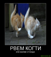 Прикольные и смешные картинки