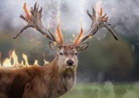 Прикольные и смешные картинки