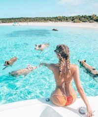 Я до сегодня думал что это фотошоп, но теперь меня терзают смутные сомнения...