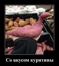 Фотоподборка за 13.02.2019