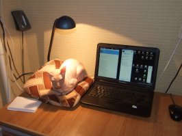 Картинки с надписями