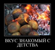 Самые дорогостоящие деликатесы