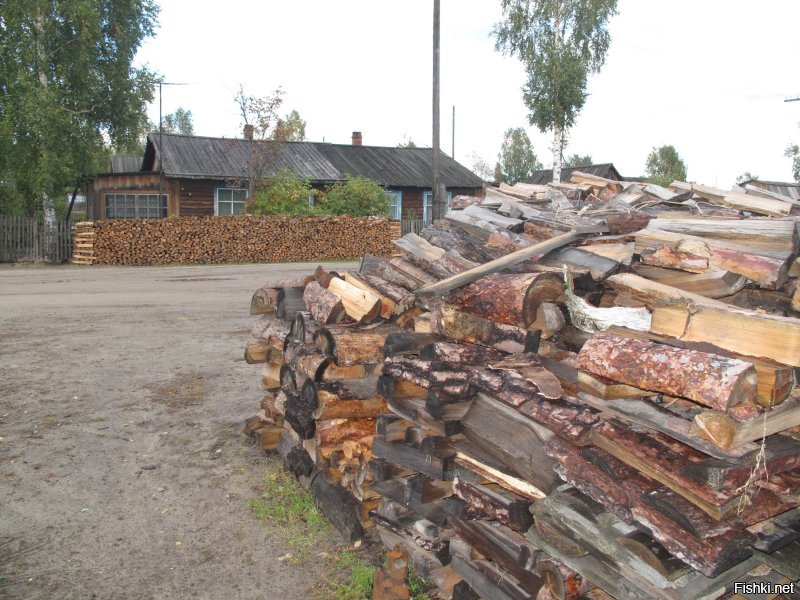 Больно смотреть. Сам из такого поселка родом. Томская область, Верхнекетский район, поселок Лисица. Были с женой в 2010 году. Дом наш стоит еще. Дела там немногим лучше, только благодаря пенсиям с северными надбавками. Люди не все еще уехали, в основном живут пенсионеры.