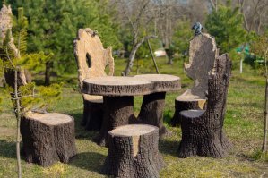 Сяду на пенёк, съем пирожок.