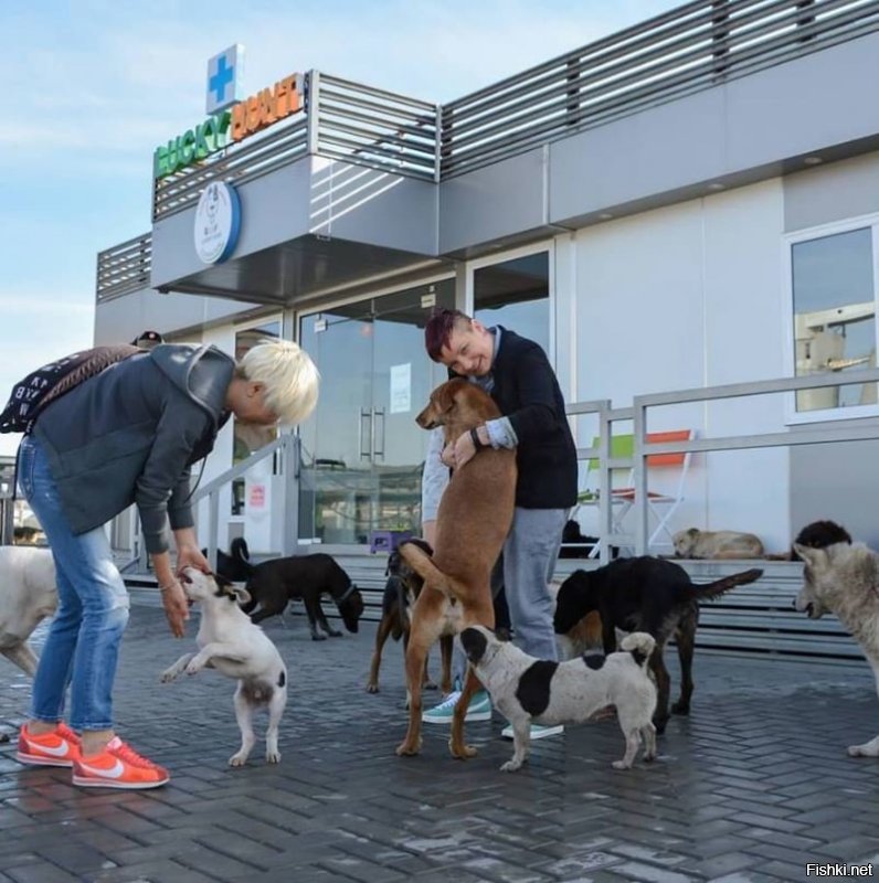 Редко встречается грамотный подход к спасению бездомных животных, к сожалению. В Болгарии есть Медицинский центр помощи животным Lucky Hunt Projects, возглавляет его молодая успешная женщина - жена, мама, модель. Сегодня в этом приюте порядка 500 бездомных собак, штук 200 осликов и сотня кошек, наверное. 

Миссия центра - не собрать всех бездомных, чтобы кормить, а донести до людей, что животных нужно стерилизовать, чтобы не плодить популяцию бездомных. Но при этом они подбирают больных бездомных собак, делают им прививки, операции и оставляют доживать в центре. Когда мы общались со Светланой Хант (хозяйкой), она совершенно правильно сказала: "Бегать по улицам и собирать бездомных собак и кошек - много ума не надо. Хочется сделать так, чтобы популяция бездомных не росла". 

Сегодня они организовали ещё один проект - общение детей-аутистов с животными. Купили кусок земли, построили здание, перевезли туда часть животных и все желающие больные детки могут пообщаться с животными. 

В центре работают врачи и сотрудники на зарплате. Ведётся переписка с желающими забрать бездомных псин за границу - есть успешные пример. 

В общем, сделано с головой и с душой. Жаль, что это исключение, а не правило.