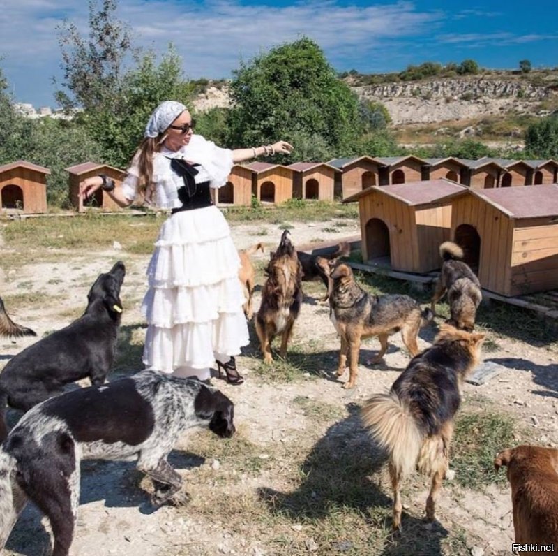 Редко встречается грамотный подход к спасению бездомных животных, к сожалению. В Болгарии есть Медицинский центр помощи животным Lucky Hunt Projects, возглавляет его молодая успешная женщина - жена, мама, модель. Сегодня в этом приюте порядка 500 бездомных собак, штук 200 осликов и сотня кошек, наверное. 

Миссия центра - не собрать всех бездомных, чтобы кормить, а донести до людей, что животных нужно стерилизовать, чтобы не плодить популяцию бездомных. Но при этом они подбирают больных бездомных собак, делают им прививки, операции и оставляют доживать в центре. Когда мы общались со Светланой Хант (хозяйкой), она совершенно правильно сказала: "Бегать по улицам и собирать бездомных собак и кошек - много ума не надо. Хочется сделать так, чтобы популяция бездомных не росла". 

Сегодня они организовали ещё один проект - общение детей-аутистов с животными. Купили кусок земли, построили здание, перевезли туда часть животных и все желающие больные детки могут пообщаться с животными. 

В центре работают врачи и сотрудники на зарплате. Ведётся переписка с желающими забрать бездомных псин за границу - есть успешные пример. 

В общем, сделано с головой и с душой. Жаль, что это исключение, а не правило.