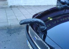 Фигурки на капоте