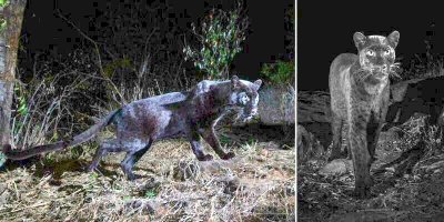 А если крутануть экспозицию, то уже не так страшно )