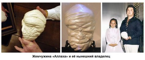 Интересные факты на разные темы