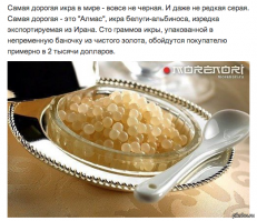 Самые дорогостоящие деликатесы