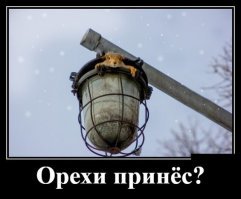 Вы кто такие? Я вас не звал, идите на х*уй!