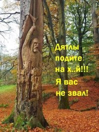 Демотивируй