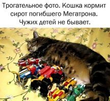 Это львы Вольтрона, недоросль...