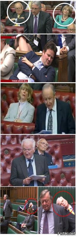 То ли дело в британском парламенте, где всегда работа кипит. Ой, извините, не та фотография
