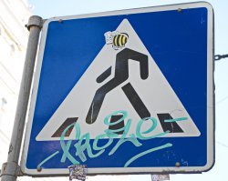 Ходишь по зебре - не удивляйся, что мозги в полосочку!