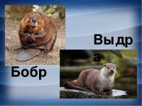 Ржака от народа