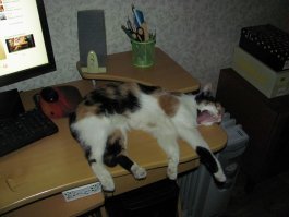 Мне б такую работу... ;)
