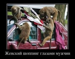 Хрен со шмотками... ЛКП!!!!