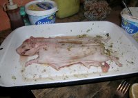 А как же морские свинки?