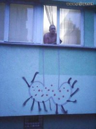 Невероятные ситуации, которые могли случиться только в России
