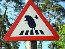 Чудные знаки, сфотографированные в разных уголках планеты