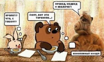 Прикольные и смешные картинки