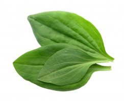 Револьвер неожиданно взорвался в руках стрелка