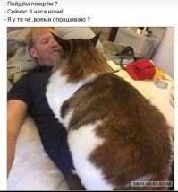 Фотоподборка за 14.02.2019