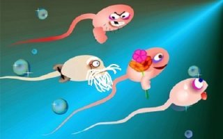 Старые сперматозоиды обеспечивают здоровое потомство