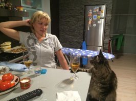 т.е ты думаешь, что когда тебя нет, на столах никто не ходит ? )))

все еще хуже ))