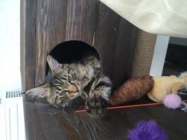 откуда такая уверенность?
вполне используется по назаначению