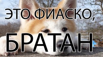  Когда говорят, что постоянство - признак мастерства