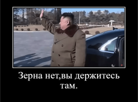 Северная Корея попросила у России 50 тысяч тонн бесплатной пшеницы