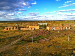 Хоть бы лес вывезли.Столько леса лежит,гниёт.