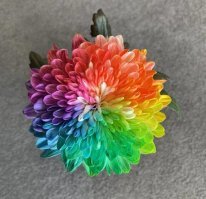 Авек плезир.

.