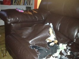 Ага... Выезжает он. Можешь уже не торопиться...